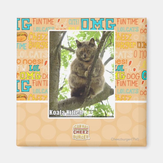 Imán Koala Kitteh (Frente)