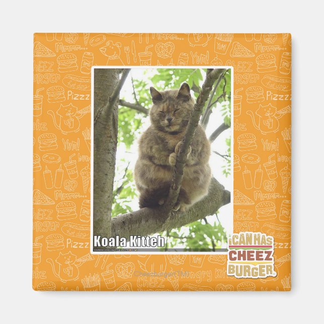 Imán Koala Kitteh (Frente)