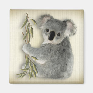 Imán Koala linda