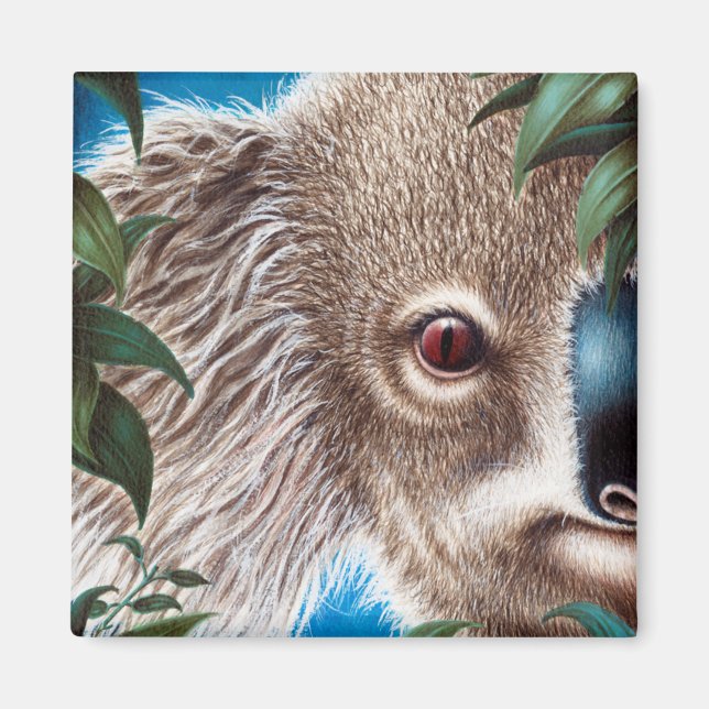 Imán Koala Magnet (Frente)