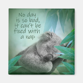 Imán Koala Nap