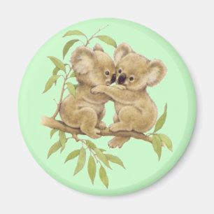 Imán Koalas lindas
