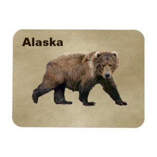 Imán Kodiak Bear