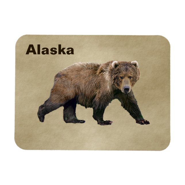 Imán Kodiak Bear (Horizontal)