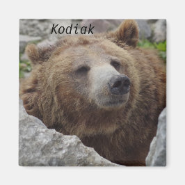Imán Kodiak Bear