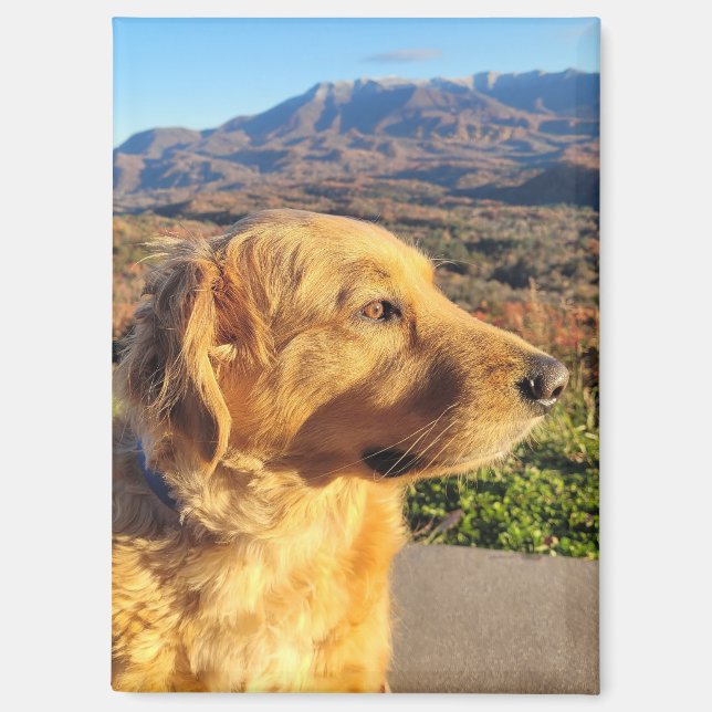 Imán Kody Magnet (Anverso)