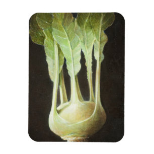Imán Kohl Rabi 2012
