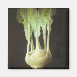 Imán Kohl Rabi 2012