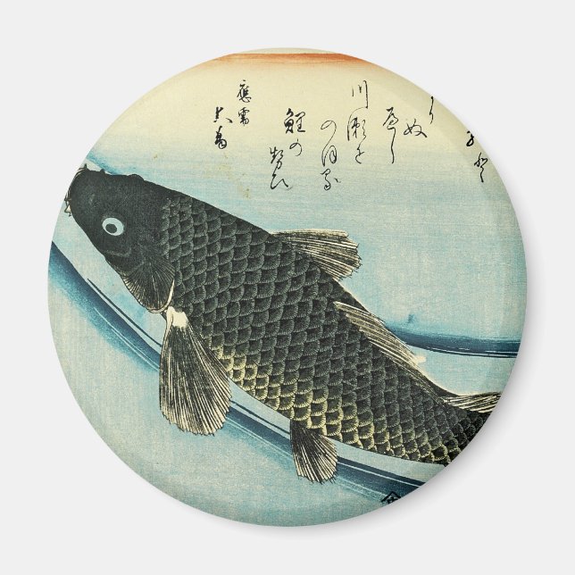 Imán Koi (carpa) - Impresión de pescado japonés de Hiro (Frente)