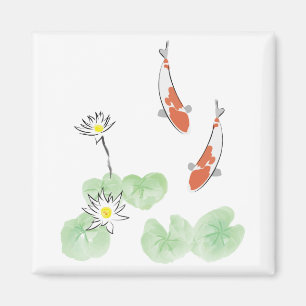 Imán Koi Pond - Magnate cuadrado de fondo blanco