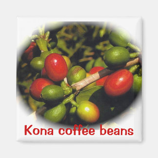 Imán Kona Coffee Beans