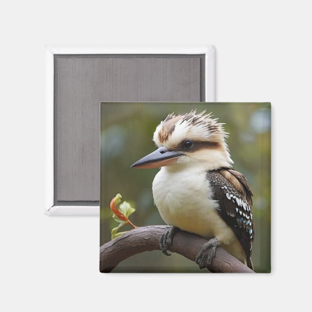 Imán Kookaburra (Anverso/Reverso)