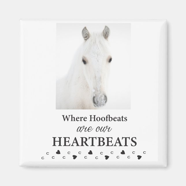 imán Kootenai (Frente)