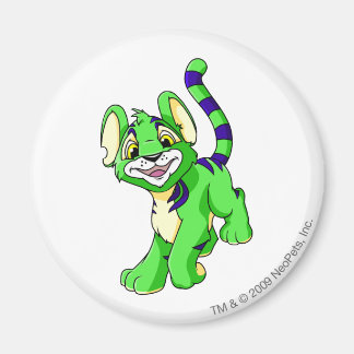 Imán Kougra Green