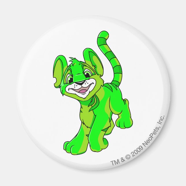 Imán Kougra Gslow (Frente)