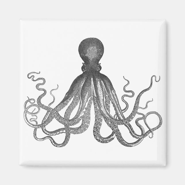Imán Kraken - Octopus gigante negro / Cthulu (Frente)