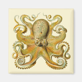Imán Kraken Vintage, Pulpo Gamochonia, Ernst Haeckel