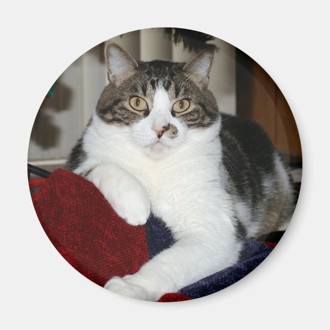 Imán Kramer (Frente)