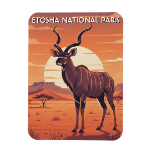 Imán Kudu en el Parque Nacional Etosha Namibia Viajes