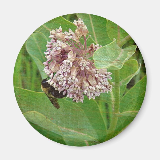 Imán La abeja de burbujas en la alga de la leche (Frente)