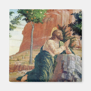 Imán La agonía en el jardín