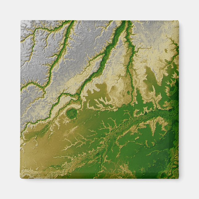 Imán La Amazonía boliviana (Frente)