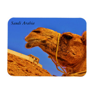 Imán La Arabia Saudita
