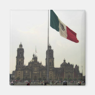 Imán La Bandera de la estafa del EL Zocalo del DF del