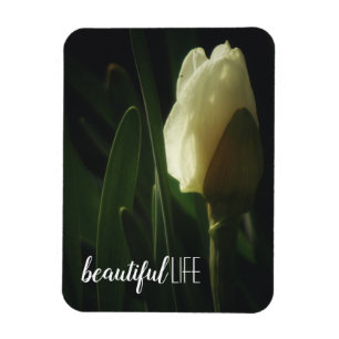 Imán La bella vida diciendo fotos de Daffodil