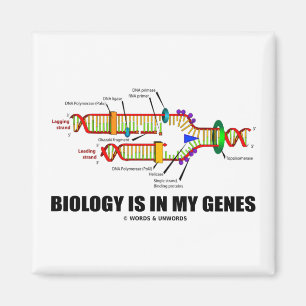 Imán La biología está en mis genes (la réplica de la