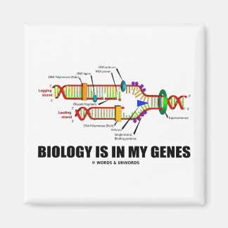 Imán La Biología Está En Mis Genes (Replicación De ADN)