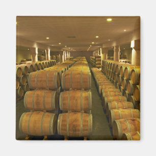 Imán La bodega, sótano de envejecimiento en barricas - 