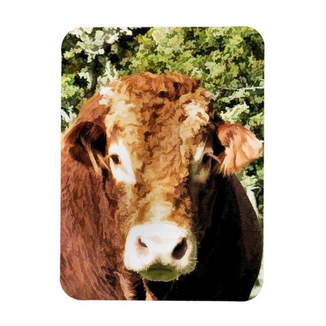 IMÁN LA BURLA (Vertical)