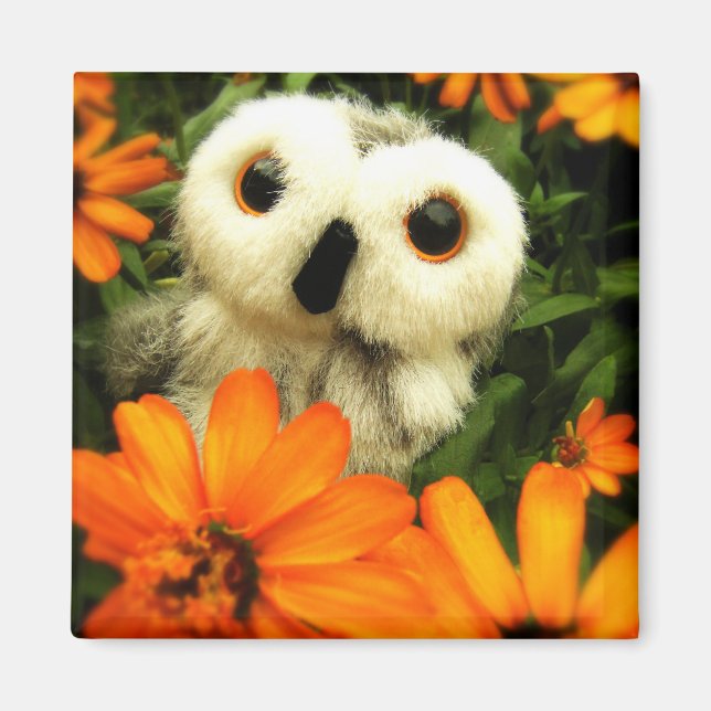 Imán La Búsqueda De Fe Continúa... (Frente)