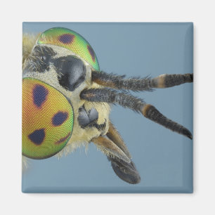 Imán La cabeza de ciervos vuela