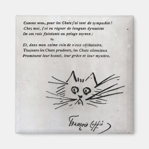 Imán La cabeza del gato