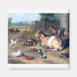 Imán La cabra de la granja embroma palomas