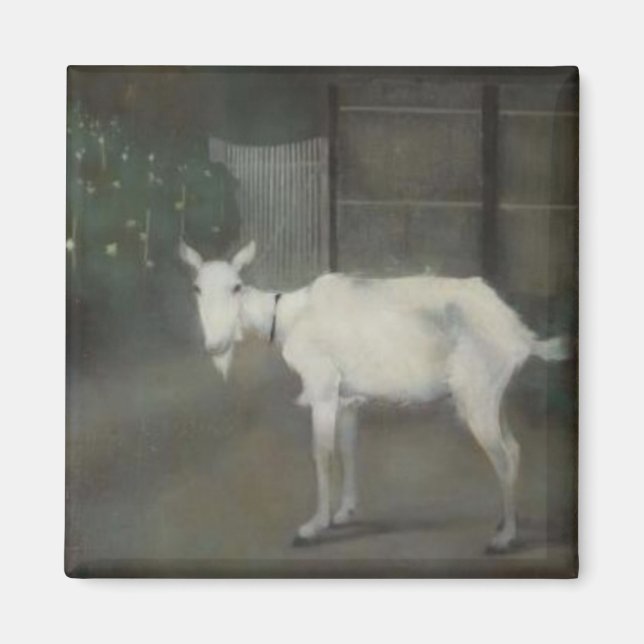 Imán La cabra vieja (por Jan Mankes) (Frente)