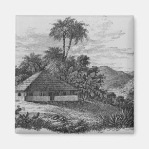 Imán La casa de un plantador en el Brasil