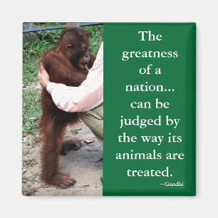 Imán La cita animal de Gandhi