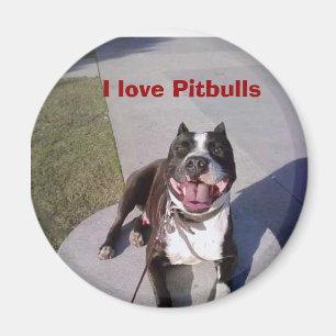 Imán La clase de Roscoe, amo Pitbulls