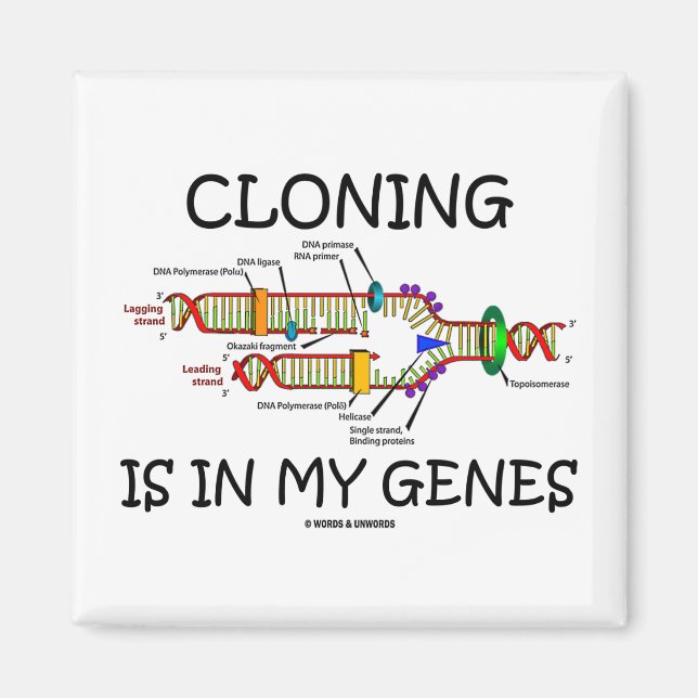 Imán La clonación está en mis genes (Frente)
