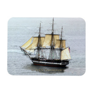 Imán La Constitución de los Estados Unidos en su máxima