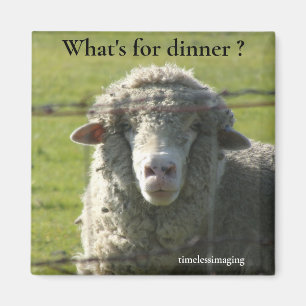 Imán La Cordillera de la Cordillera de las Botas de Sut