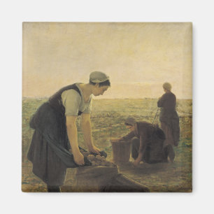 Imán La cosecha de la patata