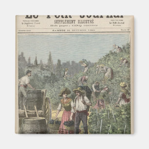Imán La cosecha de vino