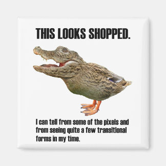 Imán La decepción del Crocoduck