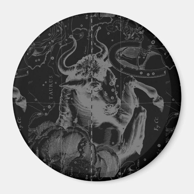 Imán La decoración del Taurus Constellation Hevelius 16 (Frente)