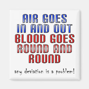 Imán La Desviación Es Un Problema Divertido De Nevera M