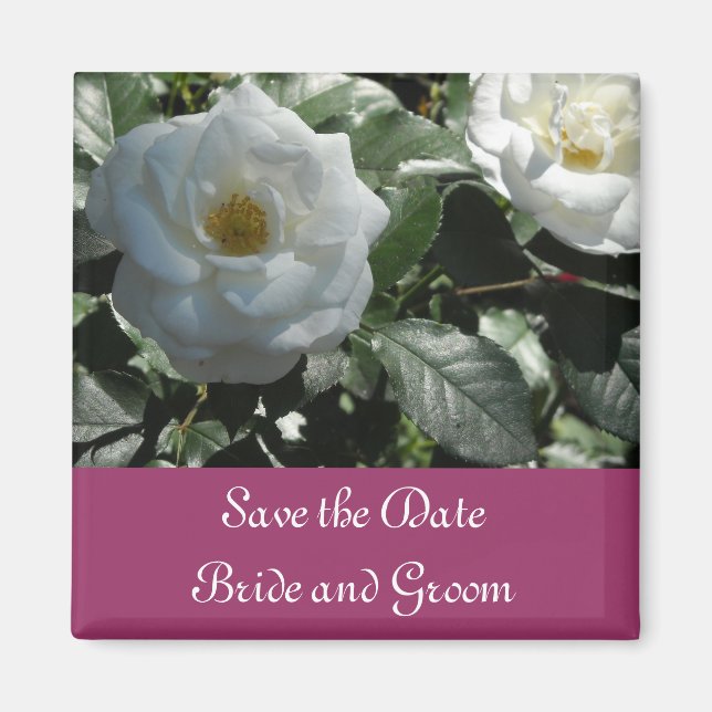 Imán La elegante rosa blanca salva la fecha (Frente)
